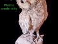 27-THE-OWL-2021