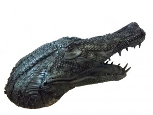 Alligator 5