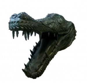 Alligator 6