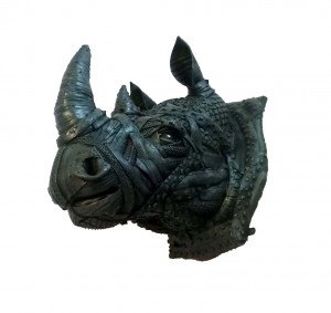 Rhino 6